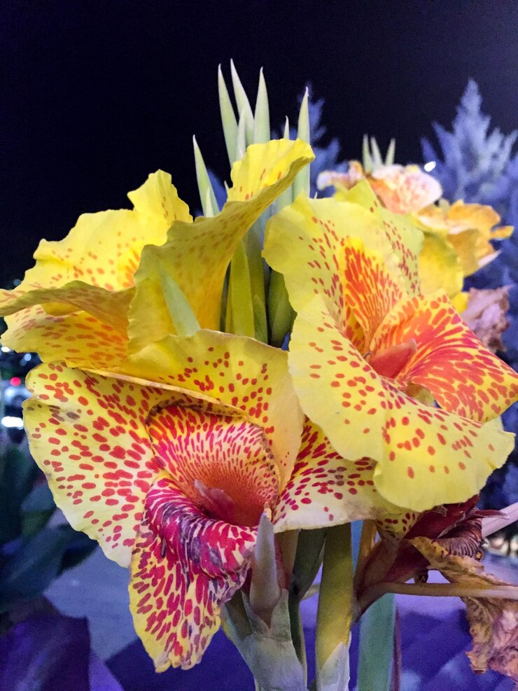 Foto close-up de flores amarelas