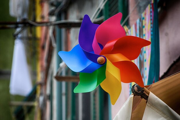 Foto close-up de flores contra um fundo desfocado