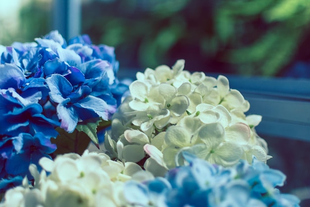 Foto close-up de flores contra um fundo desfocado