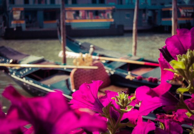 Foto close-up de flores em um barco