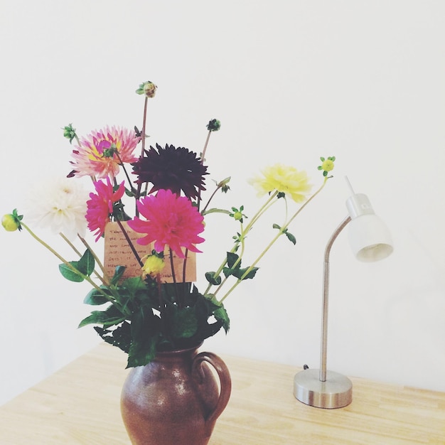 Foto close-up de flores em vaso