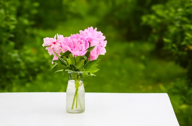 Foto close-up de flores em vaso