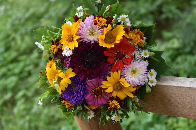 Close-up de flores florescendo ao ar livre