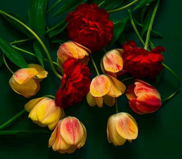 Close-up de flores rosa