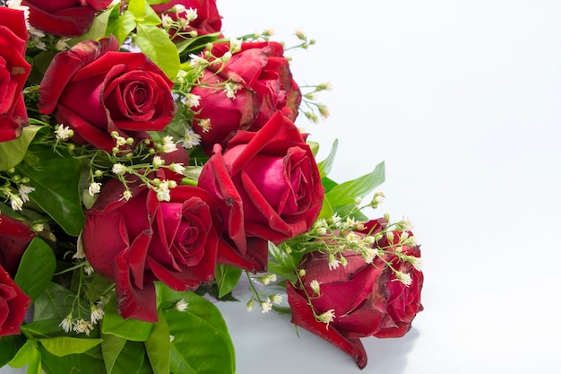 Close-up de flores vermelhas