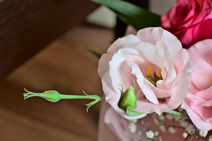 Foto close-up de flores