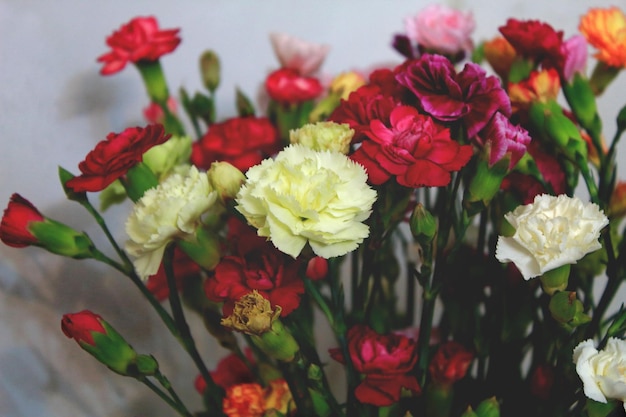 Close-up de flores