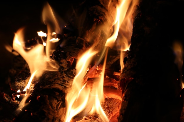 Close-up de fogueira à noite