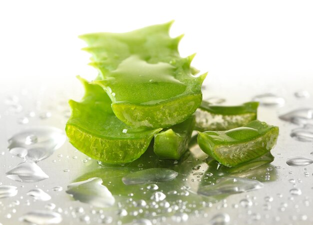 Close-up de folhas de aloe com gotas