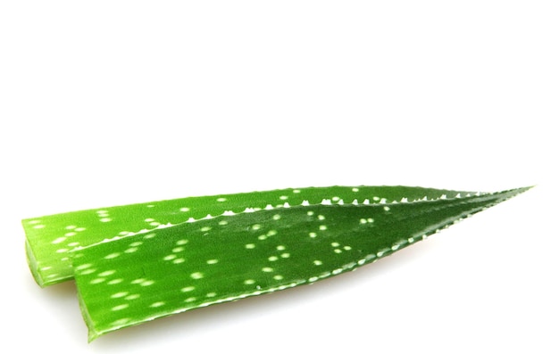 Foto close-up de folhas de aloe vera contra fundo branco