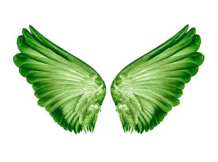 Foto close-up de folhas verdes contra fundo branco