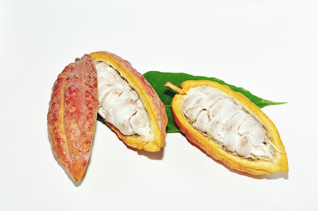Close-up de frutas contra fundo branco