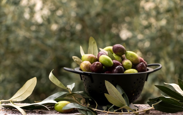 Close-up de frutas em recipiente