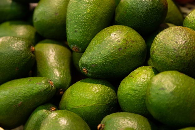 Close-up de frutas exóticas verdes de abacate maduro