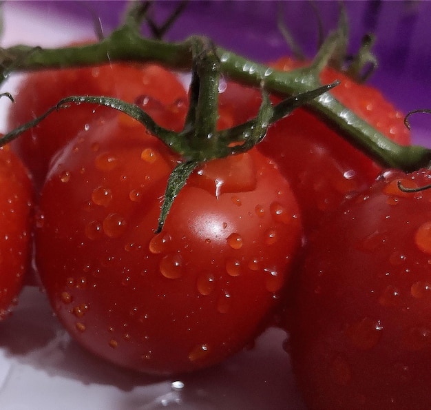 Foto close-up de frutas molhadas na planta