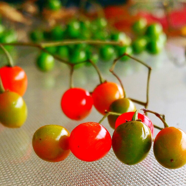 Foto close-up de frutas na mesa
