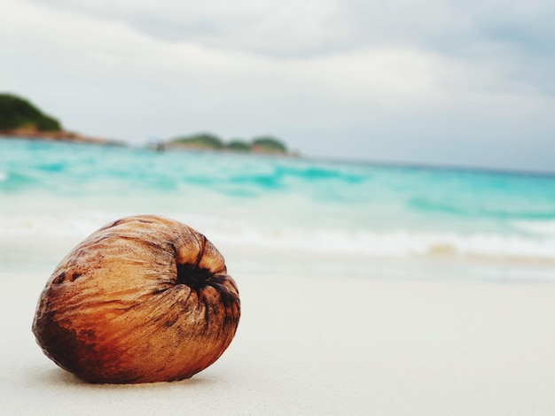 Close-up de frutas na praia