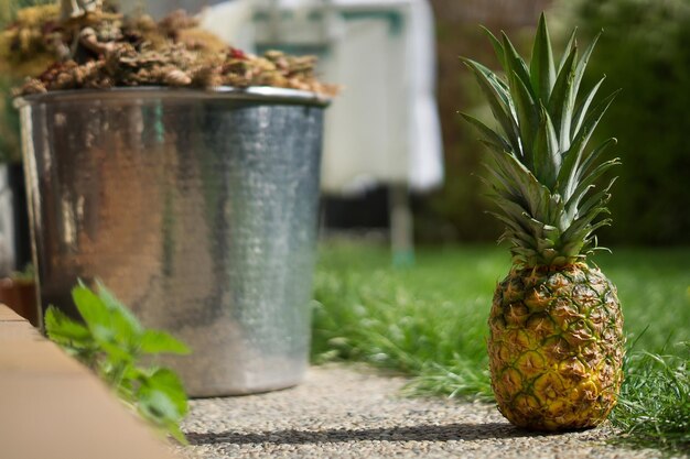 Foto close-up de frutas