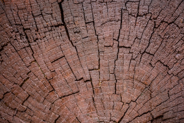 Foto close-up de fundo de madeira marrom escuro