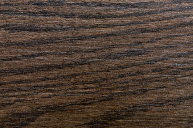 Close-up de fundo de textura de madeira marrom