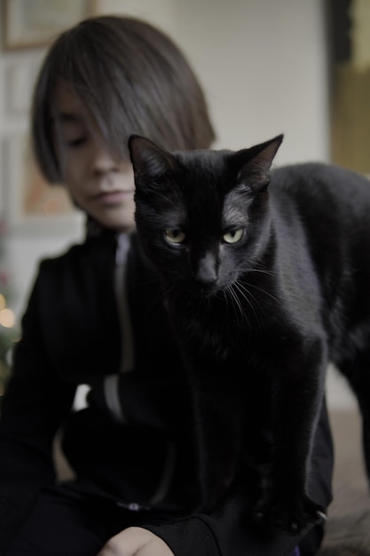 close-up de gato preto com criança fora de foco