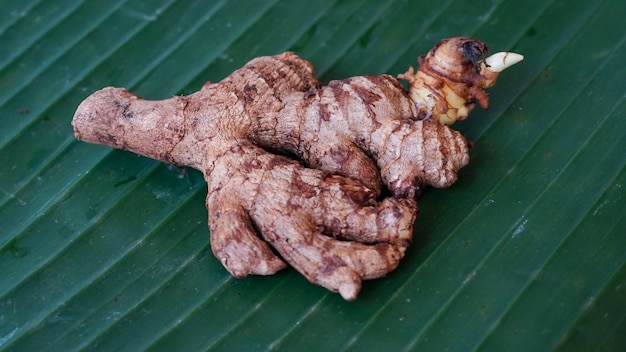 Foto close-up de gengibre à base de folhas de banana