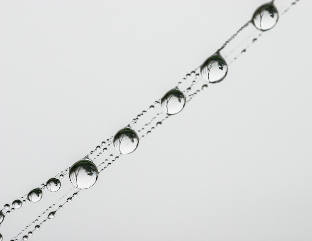Close-up de gotas contra fundo branco