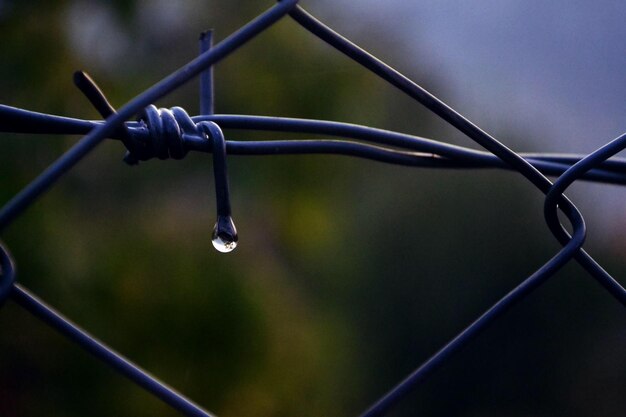 Close-up de gotas de água na cerca de liga de cadeia