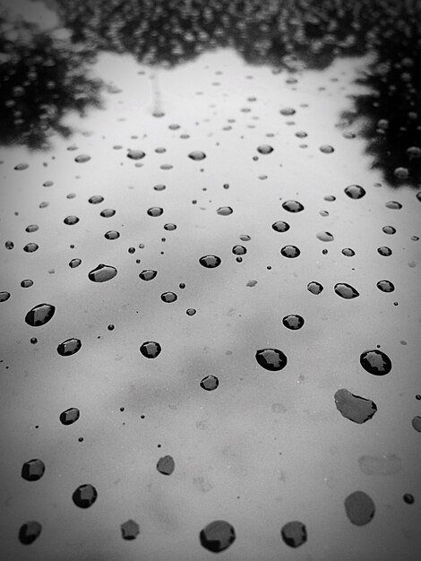 Foto close-up de gotas de água na folha