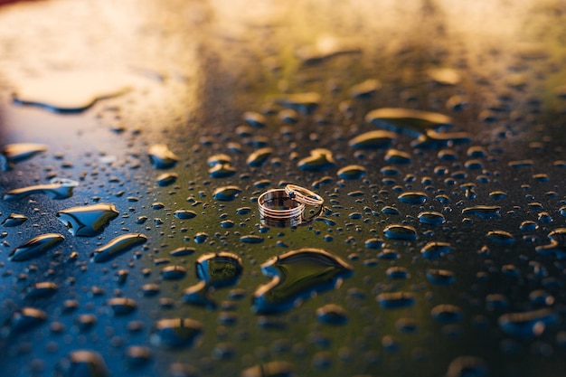 Foto close-up de gotas de chuva em folhas durante a estação chuvosa
