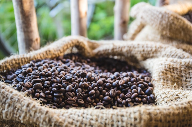 Foto close-up de grãos de café na cesta