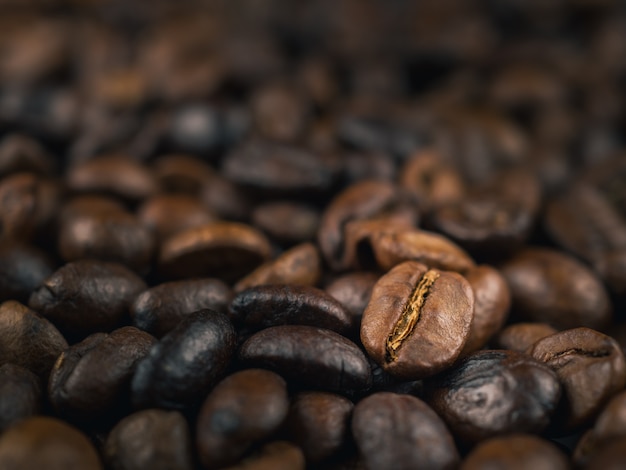 Close-up de grãos de café tailandeses torrados