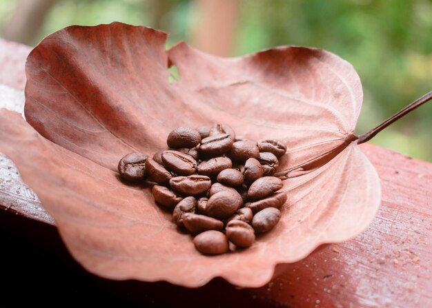 Foto close-up de grãos de café