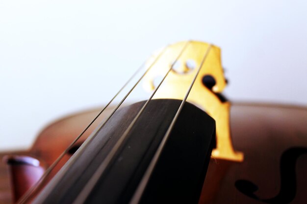 Foto close-up de guitarra contra fundo branco