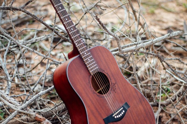 Foto close-up de guitarra no campo