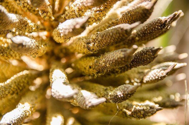 Foto close-up de instalações