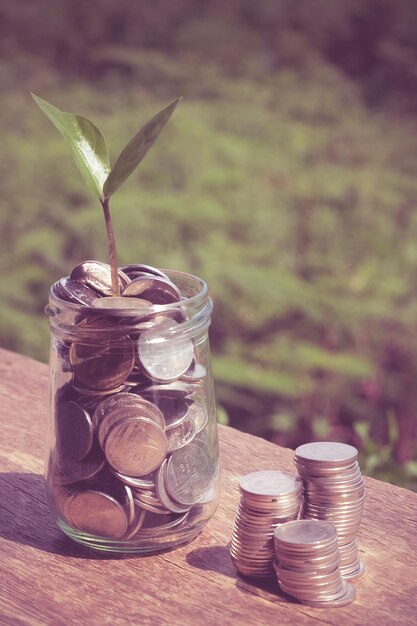 Foto close-up de jarro com moedas e planta na parede