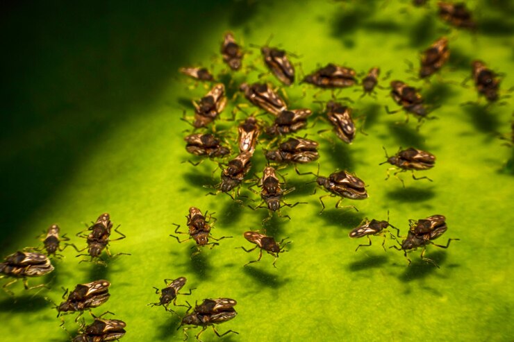 Foto close-up de lagarta em planta