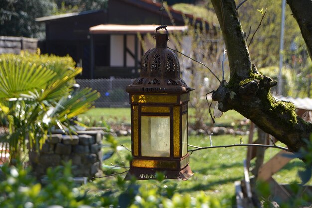 Foto close-up de lanterna pendurada em uma árvore