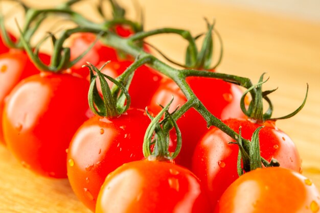 Close-up de lindos tomates cereja maduros no galho parecendo saboroso com pedicelos molhados no topo