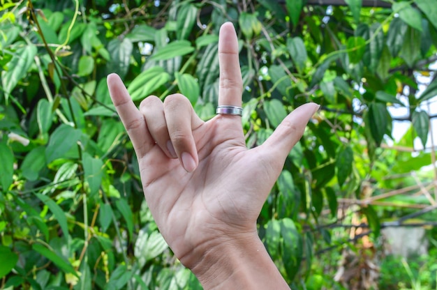 Foto close-up de mão cortada gesticulando contra plantas