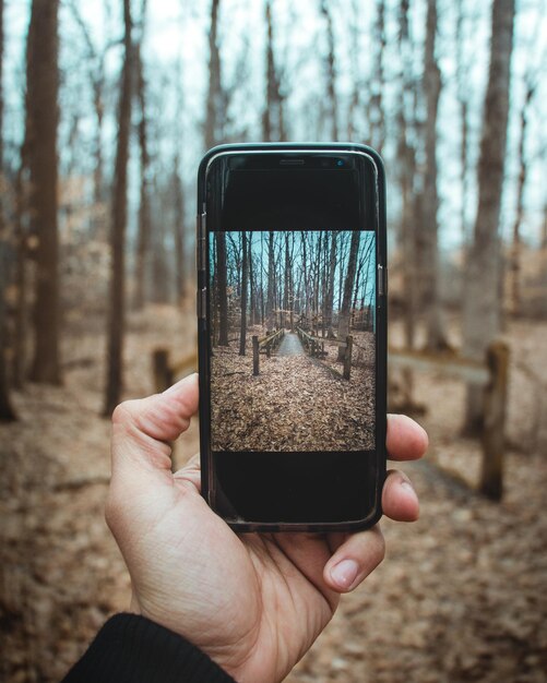 Foto close-up de mão humana fotografando árvores com telefone celular na floresta