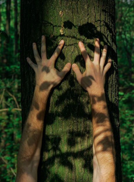 Foto close-up de mão humana no tronco da árvore