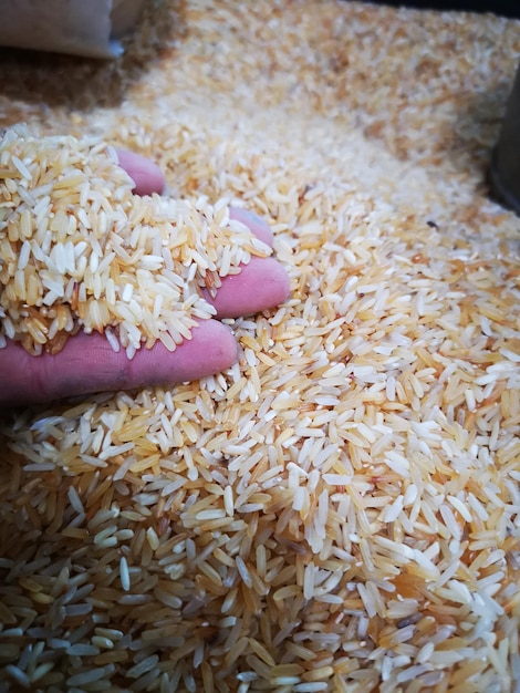 Foto close-up de mão segurando arroz