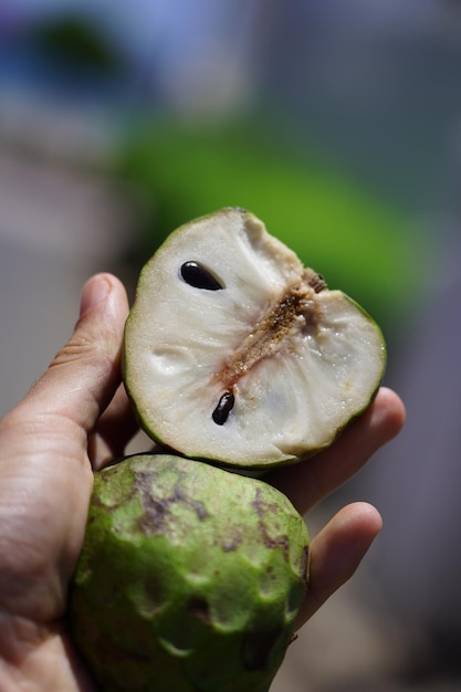 Foto close-up de mão segurando frutas