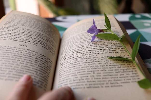 Foto close-up de mão segurando livro com texto