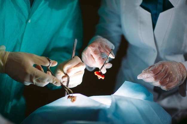 Close-up de mãos de cirurgiões segurando instrumentos médicos. o cirurgião faz uma operação.