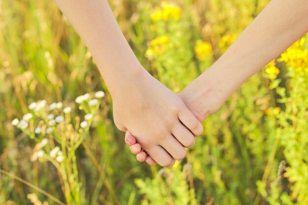 Close-up de mãos de crianças juntas, caminhando em um prado de verão