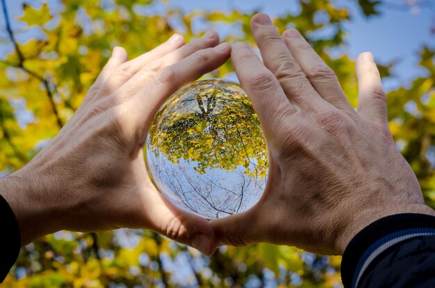 Foto close-up de mãos segurando bola de cristal contra árvores