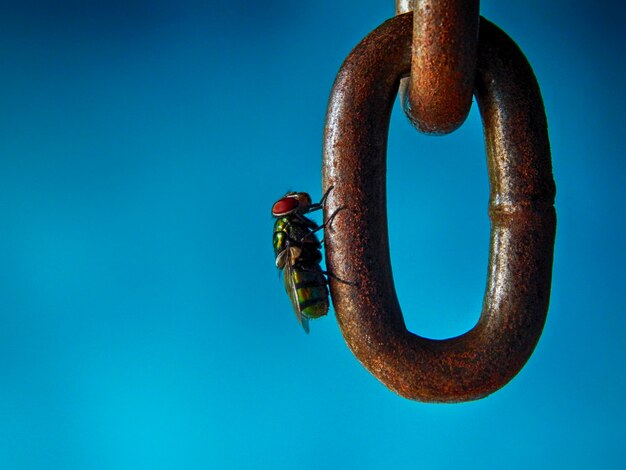 Foto close-up de metal azul